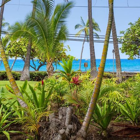 Spring Rates Book Now - Islander Condos Kailua-Kona Eksteriør bilde