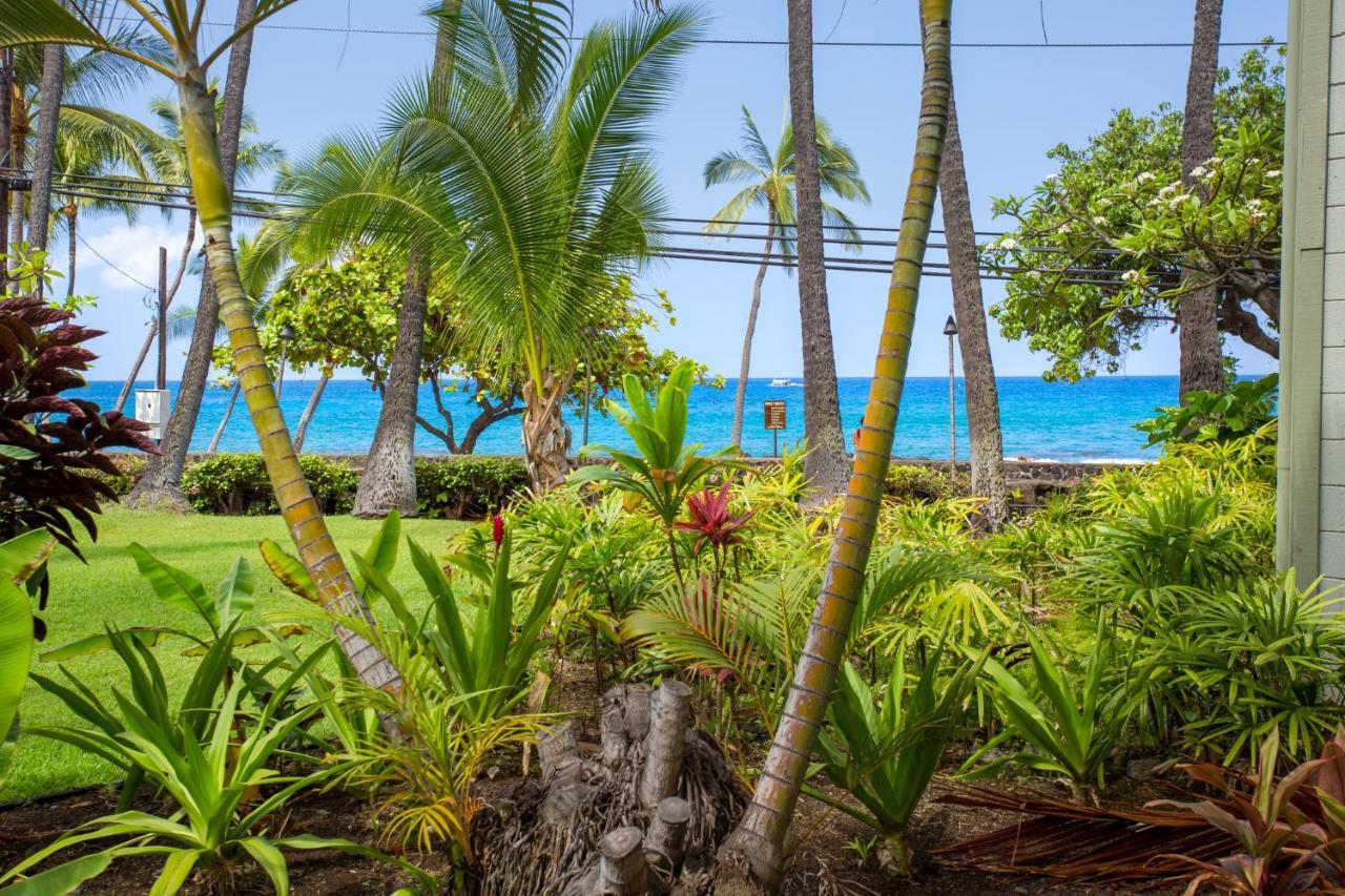 Spring Rates Book Now - Islander Condos Kailua-Kona Eksteriør bilde